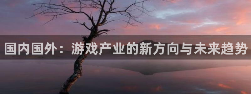 极悦娱乐注册网站：国内国外：游戏产业的新方向与未来趋势