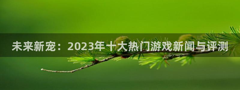 极悦娱乐的意思：未来新宠：2023年十大热门游戏新闻与评测