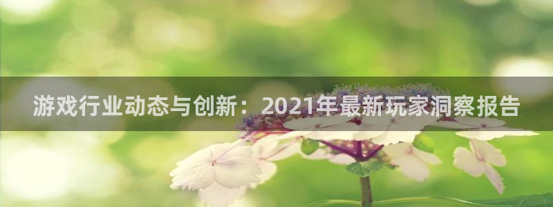 极悦娱乐注册平台：游戏行业动态与创新：2021年最新玩家洞察