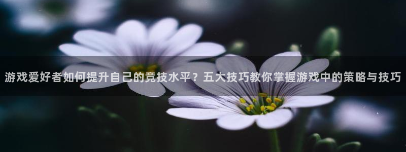 极悦娱乐平台官网客服电话：游戏爱好者如何提升自己的竞技水平？