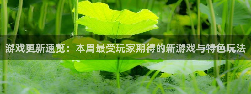 极悦娱乐4主管：游戏更新速览：本周最受玩家期待的新游戏与特色