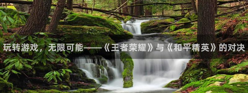 极悦娱乐登录网址：玩转游戏，无限可能——《王者荣耀》与《和平